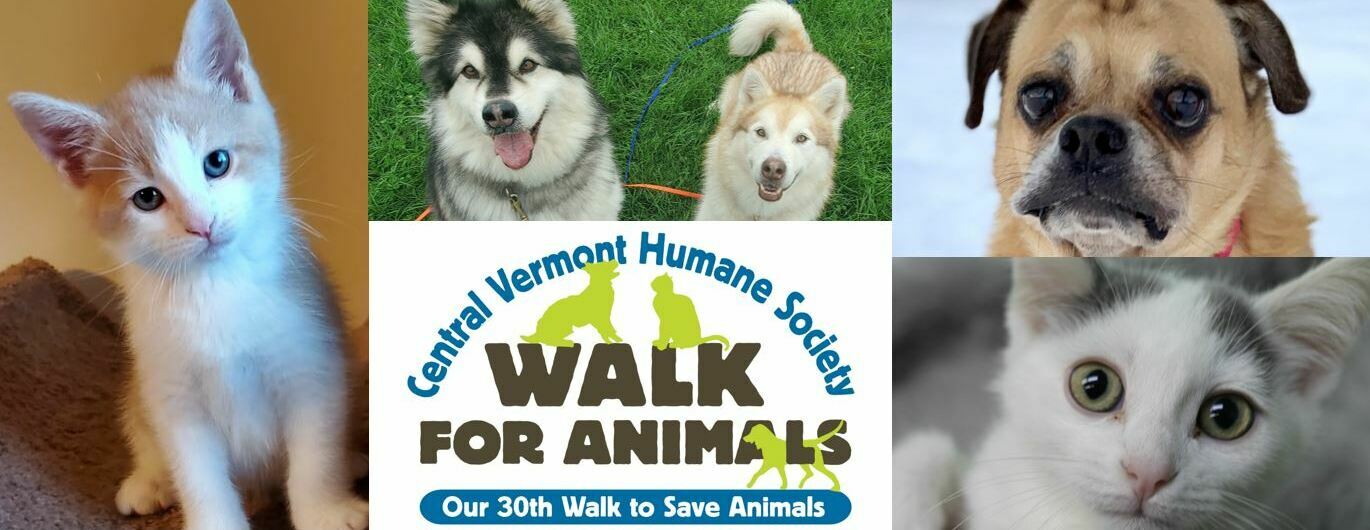 CVHS Walk for Animals 2022